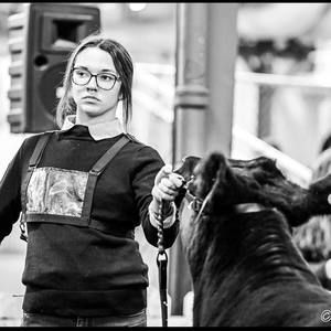 Meet your Posher, Kylene